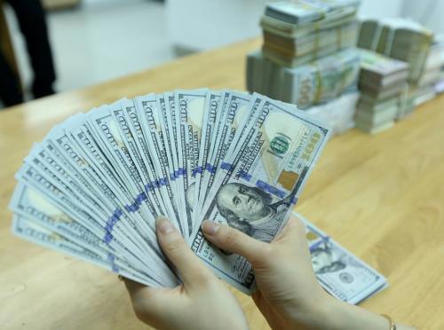 Giá USD hôm nay ổn định.