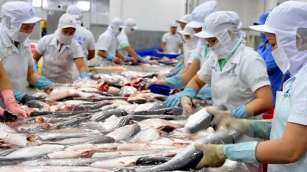 Thủy sản là một trong các mặt hàng xuất khẩu tăng trưởng mạnh nhất của Việt Nam trong những năm đổi mới.