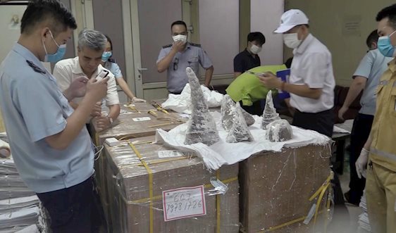 Đội Kiểm soát Hải quan Hà Nội phối hợp với các lực lượng chức năng phát hiện 55 khúc sừng tê giác tại sân bay Nội Bài.