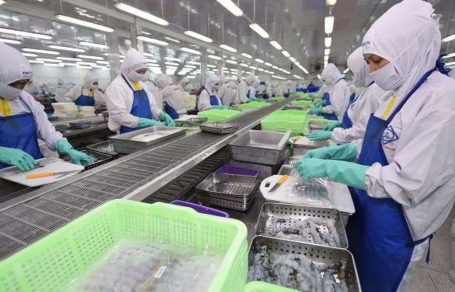 Công ty CP thực phẩm Sao Ta (FMC) đẩy mạnh xuất khẩu mặt hàng tôm vào EU.