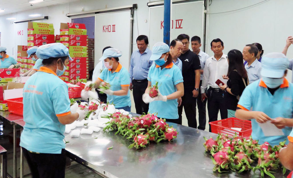 Doanh nghiệp Hồng Kông tìm hiểu cơ hội kết nối giao thương tại Việt Nam.