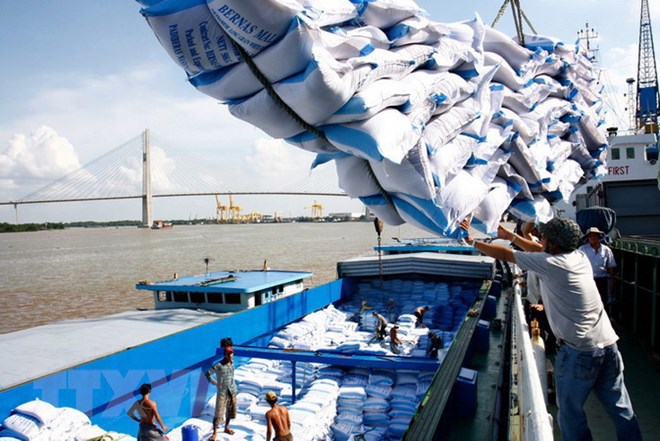 Xuất khẩu gạo 11 tháng năm 2019 đạt 5,91 triệu tấn.