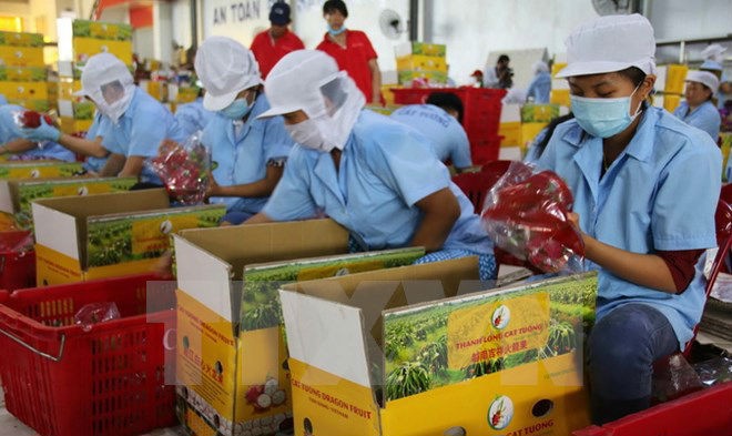 Đã đến lúc ngành nông nghiệp Việt Nam phải mở một cuộc vận động nông nghiệp xanh.