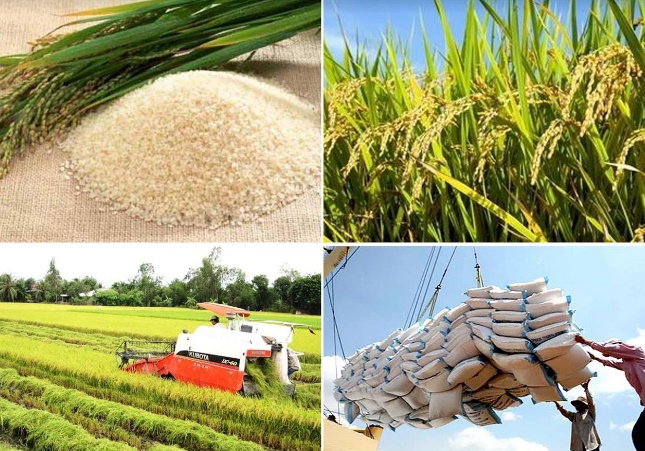 Ảnh minh họa. Nguồn: Internet