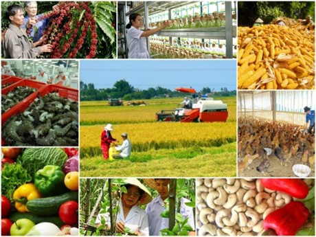Ảnh minh họa. Nguồn: Internet