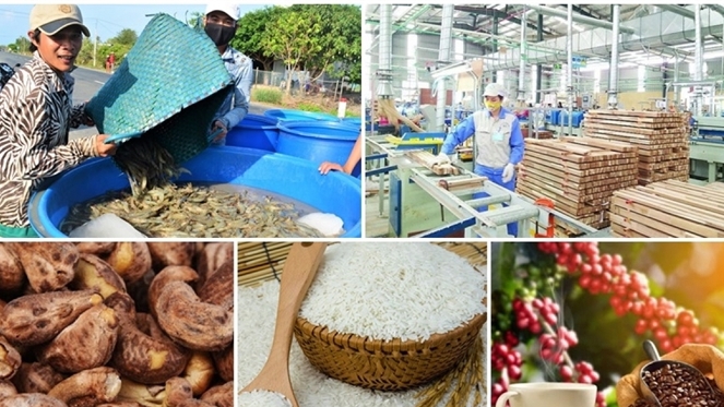 Ảnh minh họa. Nguồn: Internet