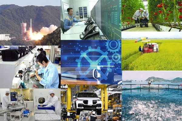 Ảnh minh họa. Nguồn: Internet