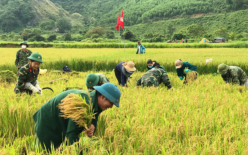 Ảnh minh họa. Nguồn: Internet