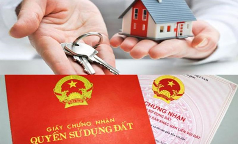 Ảnh minh họa. Nguồn: Internet