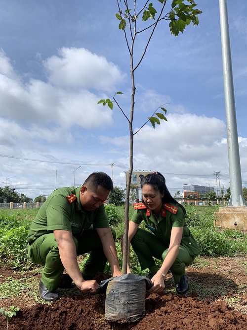 Nhiều hoạt động ý nghĩa hưởng ứng Ngày Môi trường thế giới 5/6 và Tháng hành động vì môi trường năm 2022 - Ảnh 1