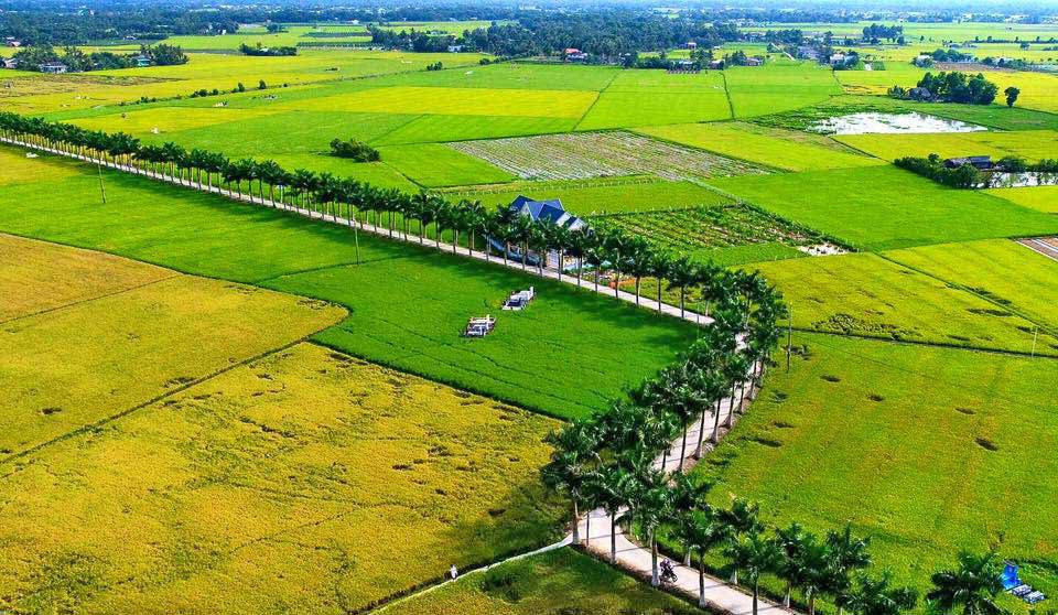 Bộ Tài chính chung tay cùng cả nước xây dựng nông thôn mới. 