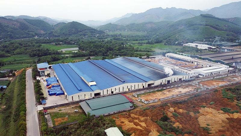Nhà máy chế biến gỗ của Công ty TNHH Lechenwood tại Khu công nghiệp Thanh Bình. Ảnh: Tuấn Sơn