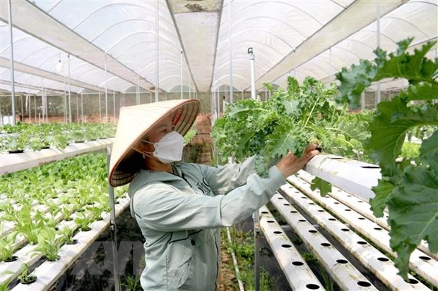 Bảo đảm c&aacute;c ch&iacute;nh s&aacute;ch hỗ trợ đến được với hợp t&aacute;c x&atilde;.