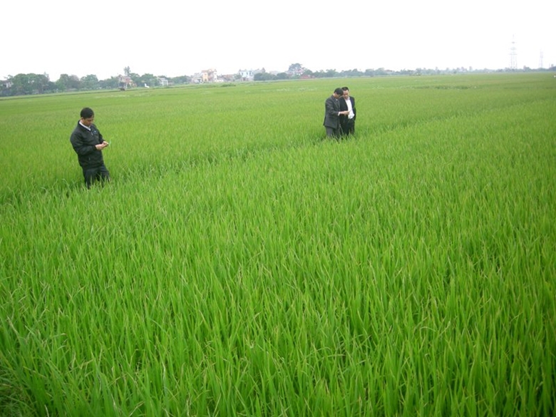 Ảnh minh hoạ: Đặng Hiếu