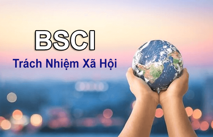 Bộ quy tắc dùng để đánh giá và tuân thủ trách nhiệm xã hội trong kinh doanh.