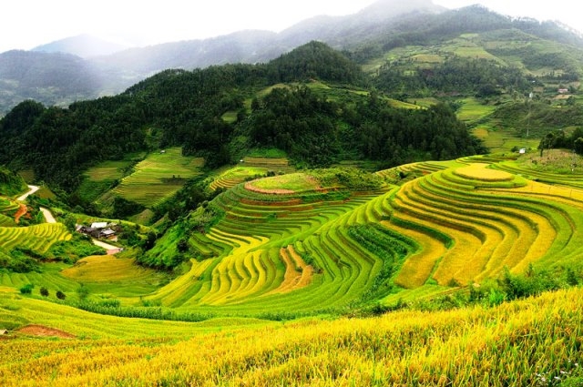 Cần tạo cơ chế tăng cường khả năng liên kết vùng, kết nối giữa các doanh nghiệp trong vùng (Ảnh: PV)