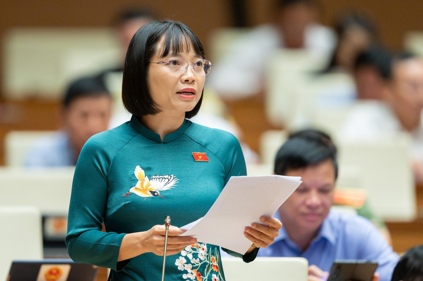 Đại biểu Nguyễn Thị Việt Nga - Phó Trưởng Đoàn ĐBQH tỉnh Hải Dương phát biểu.