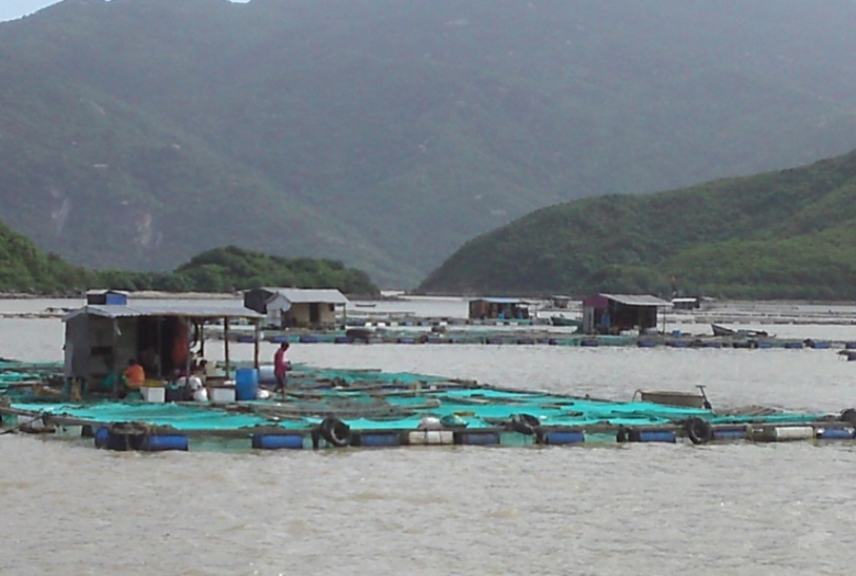 Nuôi cá lồng biển ở Khánh Hoà.