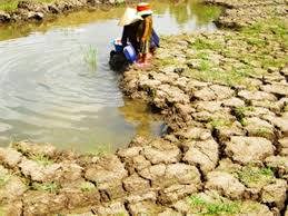 Các địa phương tiếp tục theo dõi chặt chẽ diễn biến thời tiết, nguồn nước, xâm nhập mặn