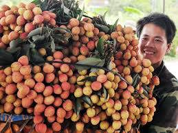 Vải thiều Bắc Giang