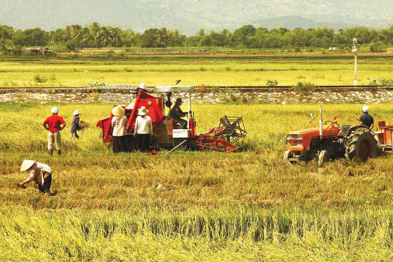6 tháng cuối năm, ngành Nông nghiệp phải quyết liệt thực hiện tái cơ cấu