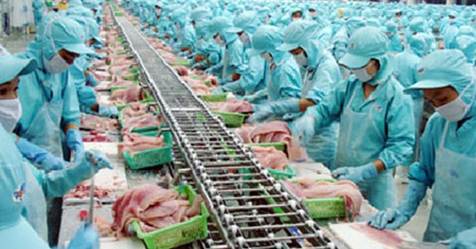 Giá cá tra và tôm sụt giảm mạnh