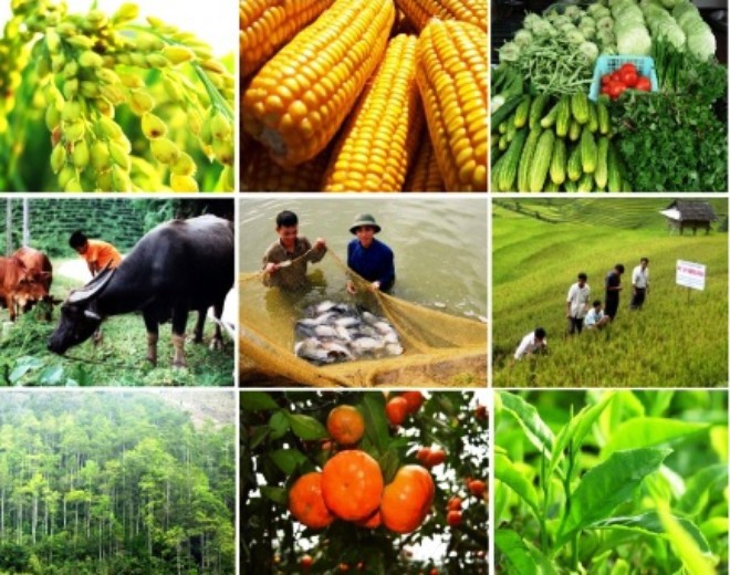6 tháng đầu năm 2016 vốn XDCB ước đạt 2.932,03 tỷ đồng