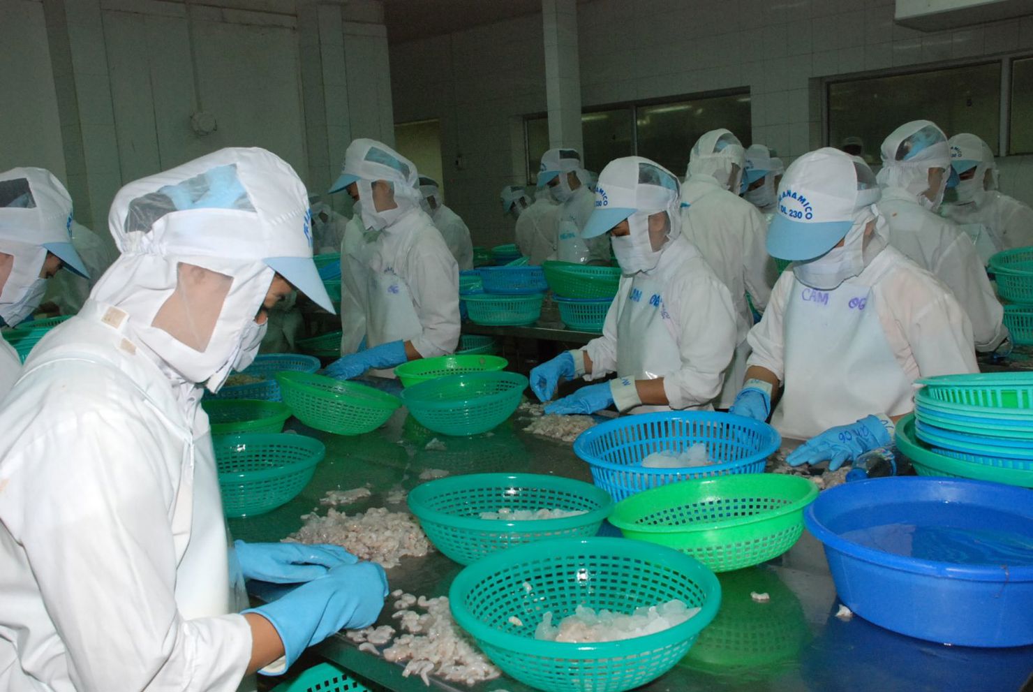 Năm 2015, kim ngạch xuất khẩu tôm của Việt Nam sang Australia giảm 25,6%