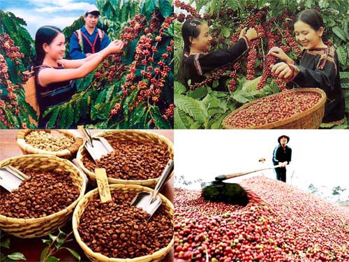 Cà phê Việt Nam