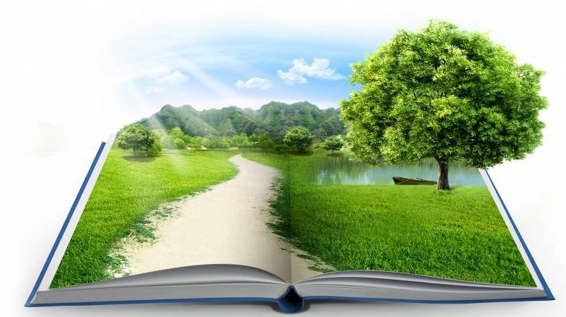 Công tác kiểm toán môi trường đã được đẩy mạnh nhưng vẫn còn nhiều hạn chế. Nguồn: Internet
