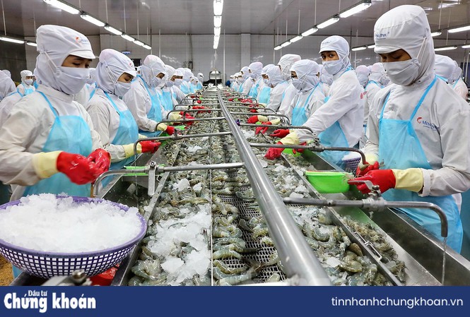 Ảnh minh họa. Nguồn: Internet
