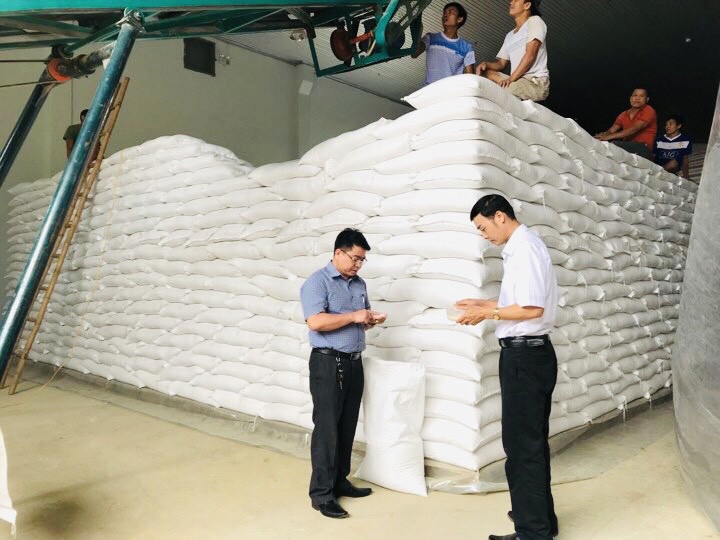 Lãnh đạo Cục DTNN khu vực Hoàng Liên Sơn kiểm tra chất lượng gạo nhập kho năm 2021