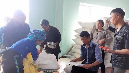 Tập thể cán bộ, công chức Cục DTNN khu vực Đông Bắc không ngừng nỗ lực, quyết tâm thi đua hoàn thành xuất sắc mọi nhiệm vụ được giao.
