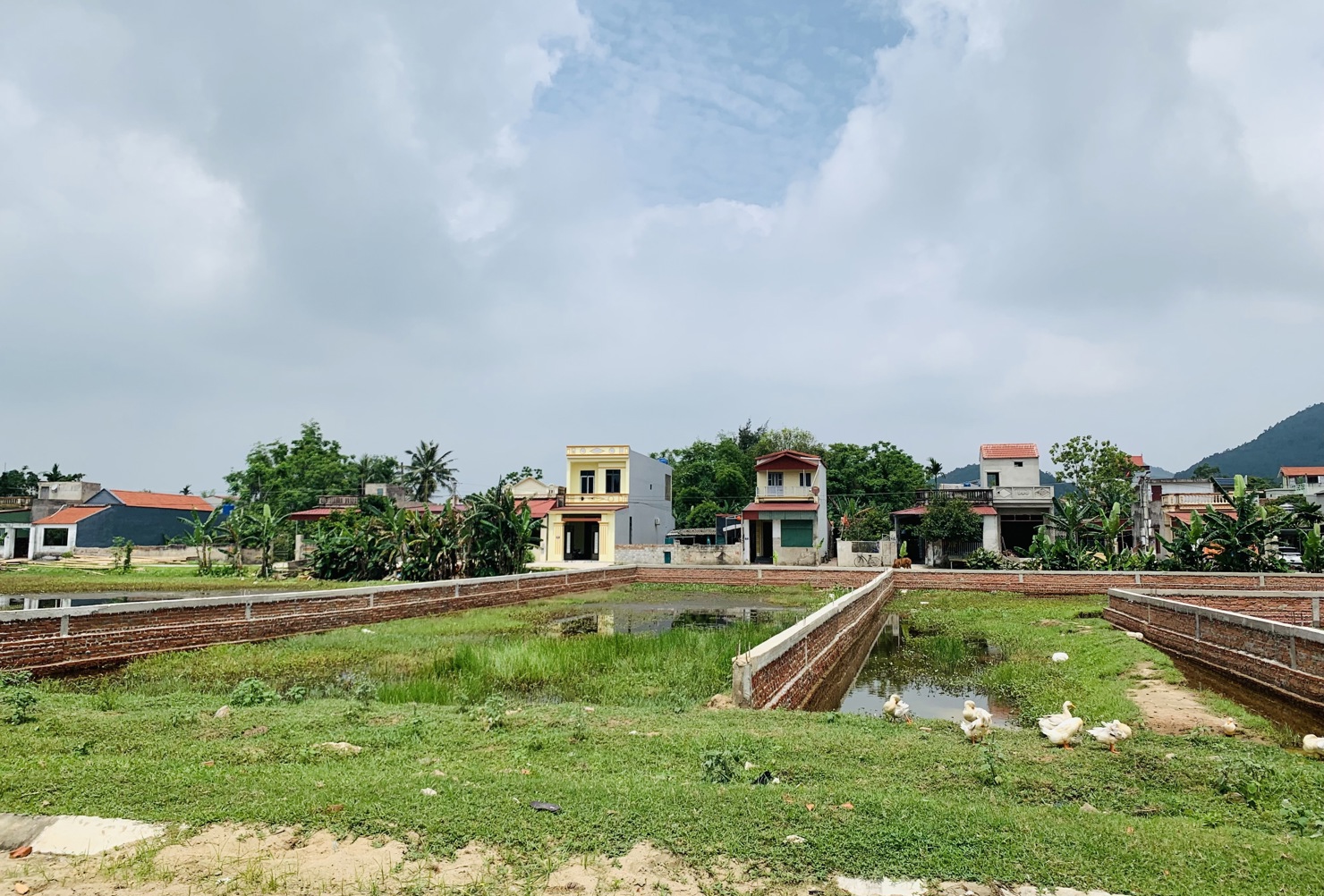 Tại nhiều địa phương đã xuất hiện tình trạng mua gom đất của người dân sau phân lô tách thửa để bán.