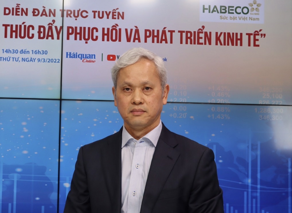Chuyên gia kinh tế Nguyễn Bích Lâm - nguyên Tổng cục trưởng Tổng cục Thống kê tại Diễn đàn trực tuyến “Kiểm soát lạm phát: Thúc đẩy phục hồi và phát triển kinh tế”. 