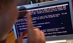 Ảnh minh họa. Nguồn: Internet.