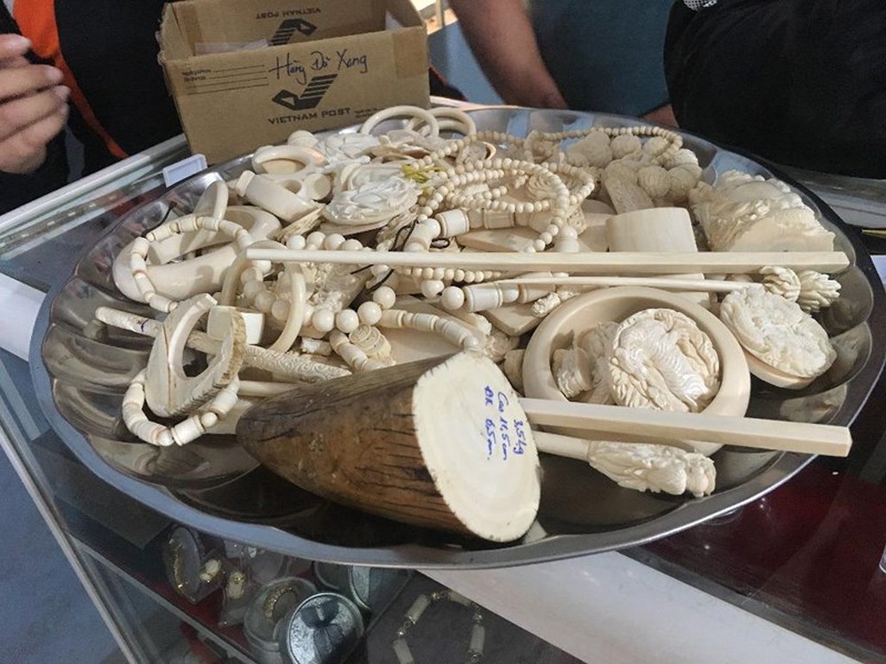 Phát hiện trong 1 kiện hàng hóa chứa nhiều sản phẩm nghi chế tác từ ngà voi. Nguồn: bcd389.gov.vn