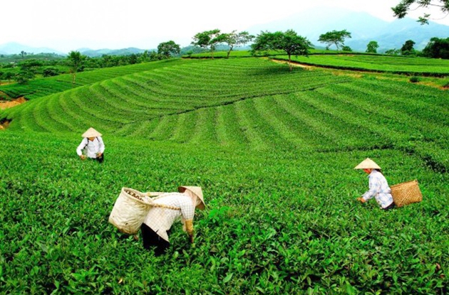 Ảnh minh họa. Nguồn: Internet