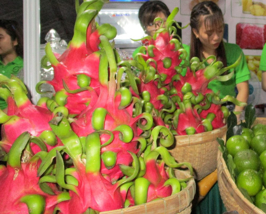 Thanh long sẽ bị kiểm chặt hơn các chỉ tiêu về thuốc bảo vệ thực vật khi xuất khẩu sang Nhật Bản. Nguồn: nld.com.vn