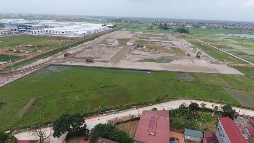 Theo nhiều chuyên gia để xảy ra tình trạng bán lúa non trách nhiệm trước hết thuộc về chính quyền địa phương.