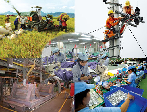 Ảnh minh họa. Nguồn: Internet.