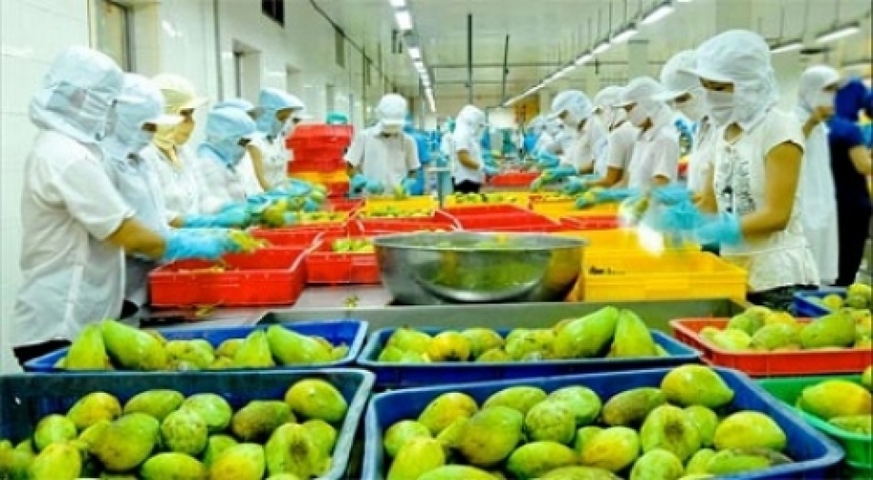Rau, quả Việt Nam đang có nhiều tiềm năng mở rộng thị phần tại EU