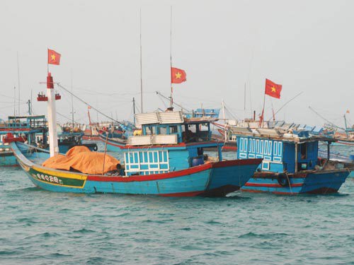 Ảnh minh họa. Nguồn: Internet.