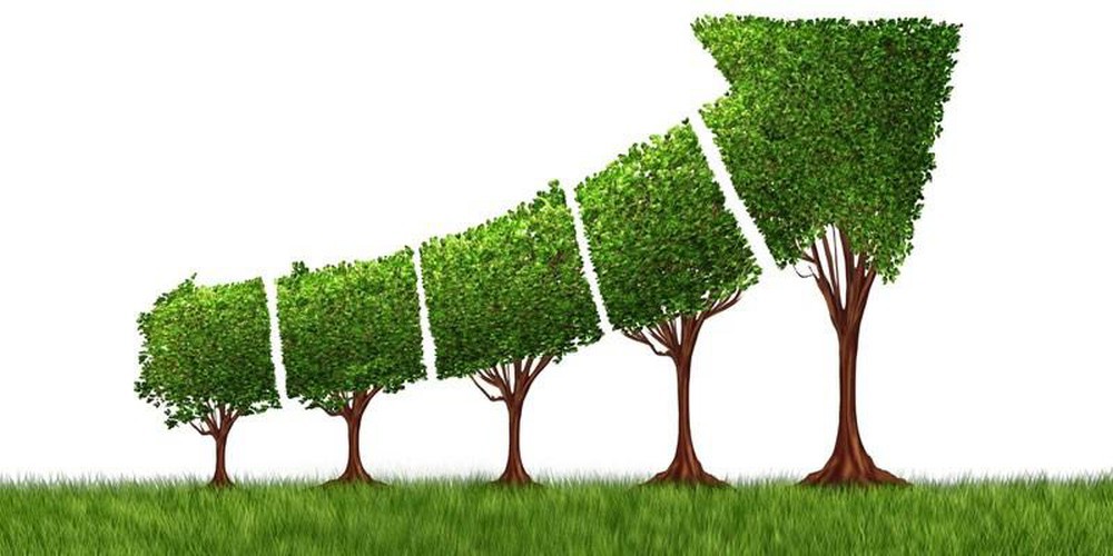 5 năm thực hiện Chiến lược tăng trưởng xanh của Bộ Kế hoạch và Đầu tư, đã có nhiều kết quả tích cực từ xây dựng cơ chế, chính sách đến nhận thức của cộng đồng về tăng trưởng xanh. Nguồn: Internet.