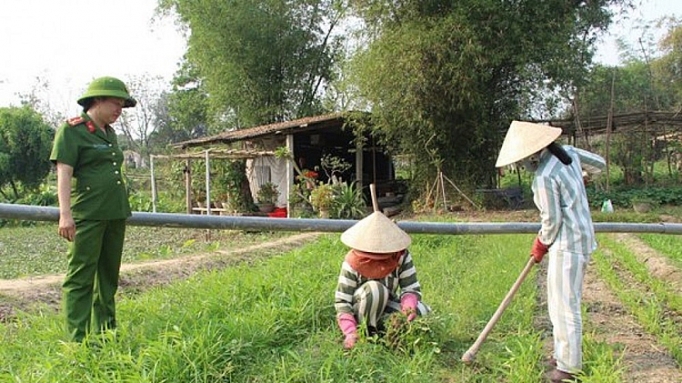 Phạm nhân được tham gia BHXH tự nguyện, hưởng chế độ, chính sách về BHXH theo quy định của pháp luật