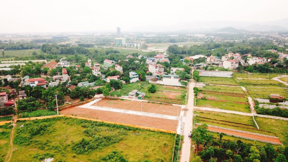 Ảnh minh họa. Nguồn: Internet.