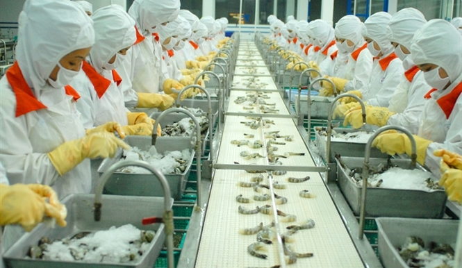 7 tháng đầu năm, xuất khẩu của khu vực kinh tế trong nước đạt 44 tỷ USD, tăng 12,2% so với cùng kỳ năm 2018. Nguồn: Internet.