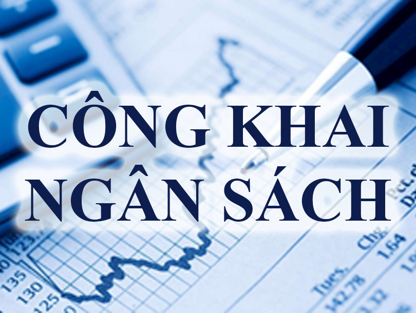Quốc hội giao Chính phủ công khai quyết toán NSNN năm 2019 theo đúng quy định của pháp luật.