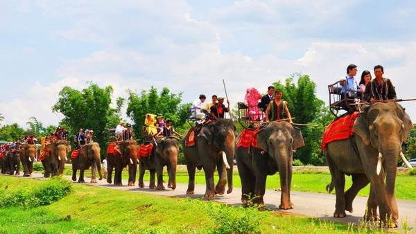 Tính đến ngày 20/12/2017, trên địa bàn Đắk Lắk có tổng cộng 201 đơn vị kinh doanh lưu trú du lịch. Nguồn: Internet.