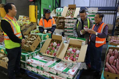 EU đã có hàng rào kỹ thuật, quy định về dư lượng thuốc bảo vệ thực vật, chất cấm… đòi hỏi hàng Việt Nam phải gia tăng chất lượng. Nguồn: Internet.